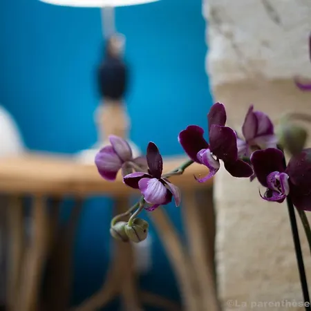 La Parenthèse Des Capucins -