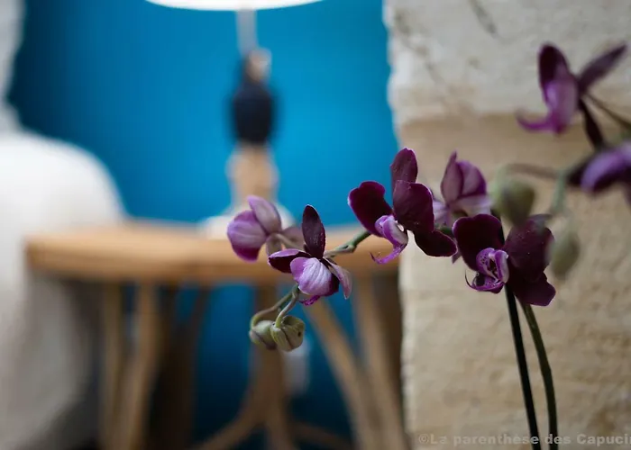 La Parenthèse Des Capucins -